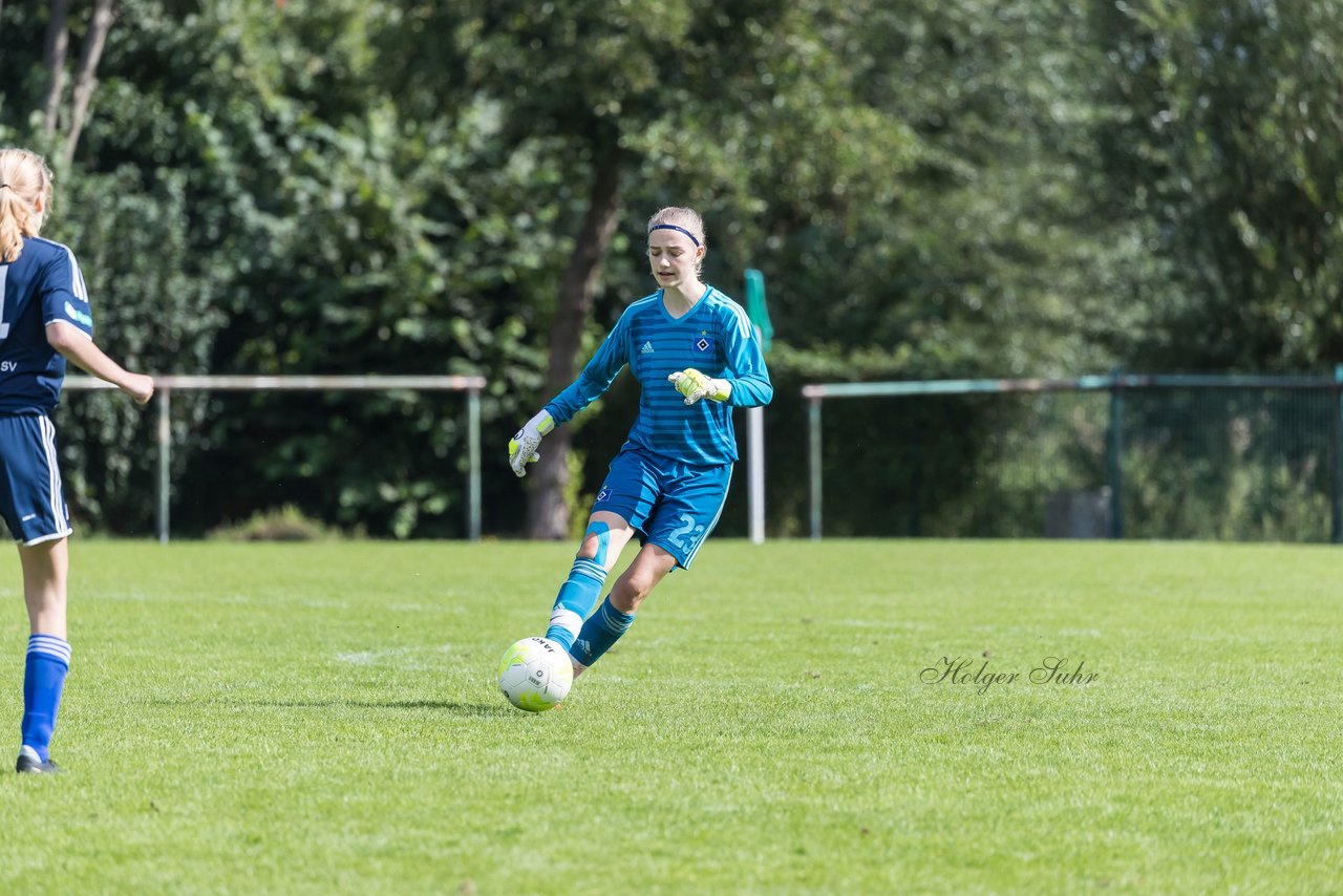 Bild 103 - B-Juniorinnen VfL Pinneberg - HSV : Ergebnis: 1:4